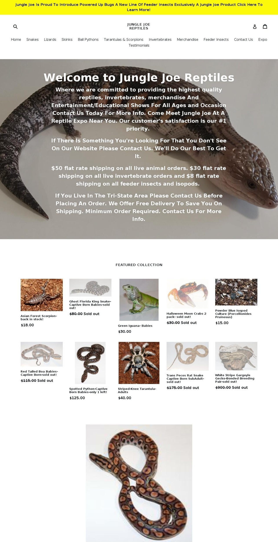 junglejoereptiles.com — Shopify storefront screenshot