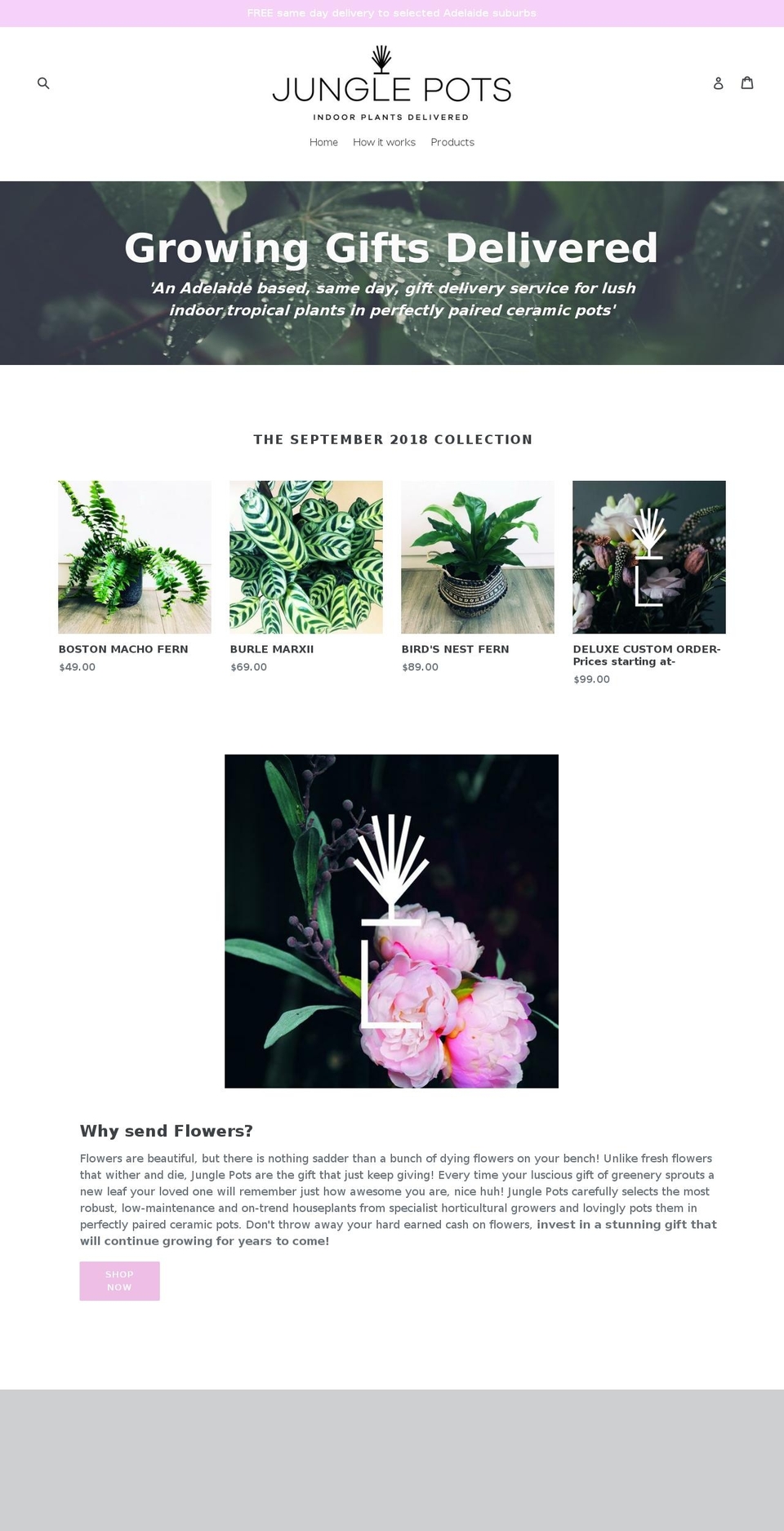 junglepots.com — Shopify storefront screenshot