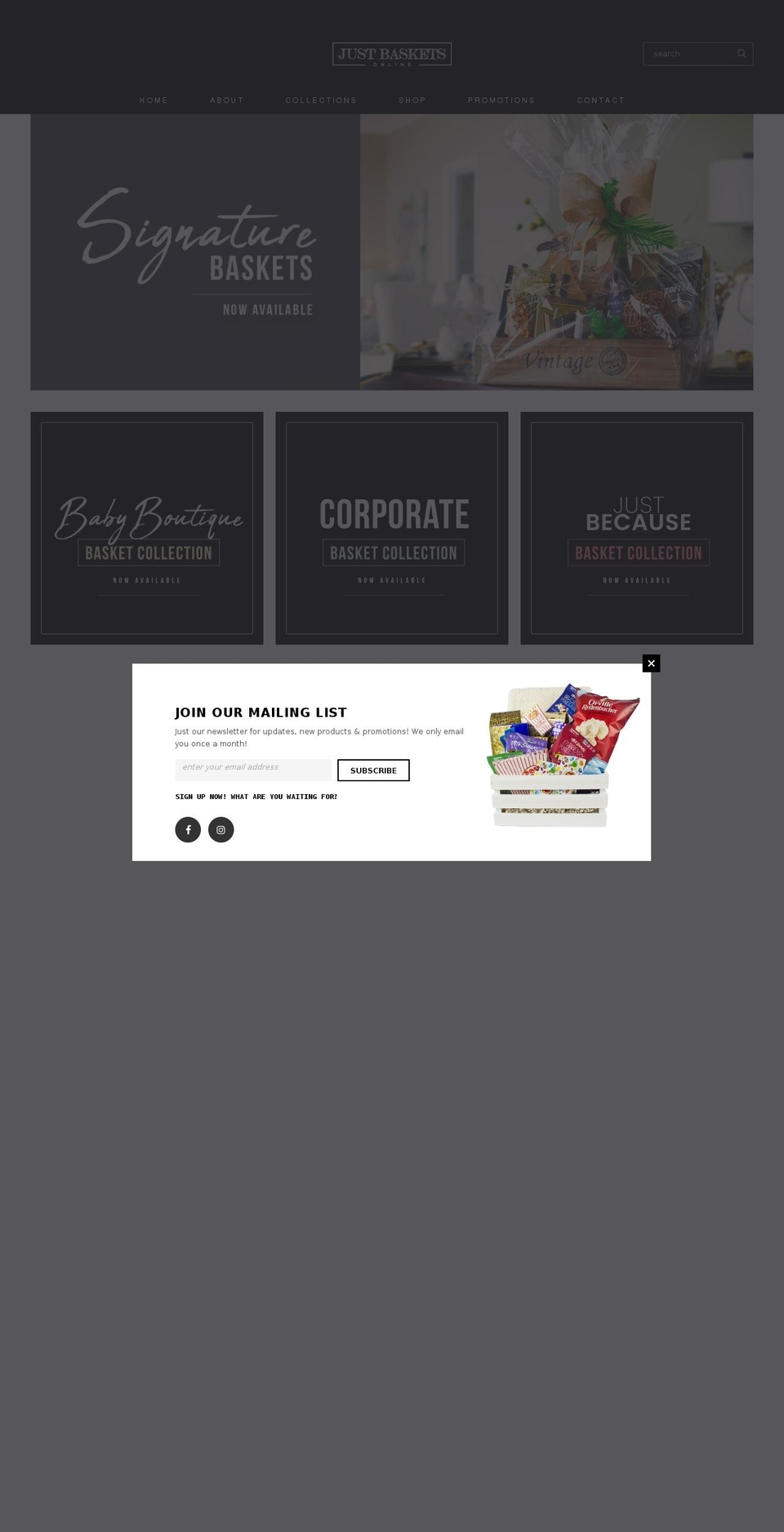 Just_Baskets_Lifted_Theme_1 Shopify theme site example justbasketsonline.com