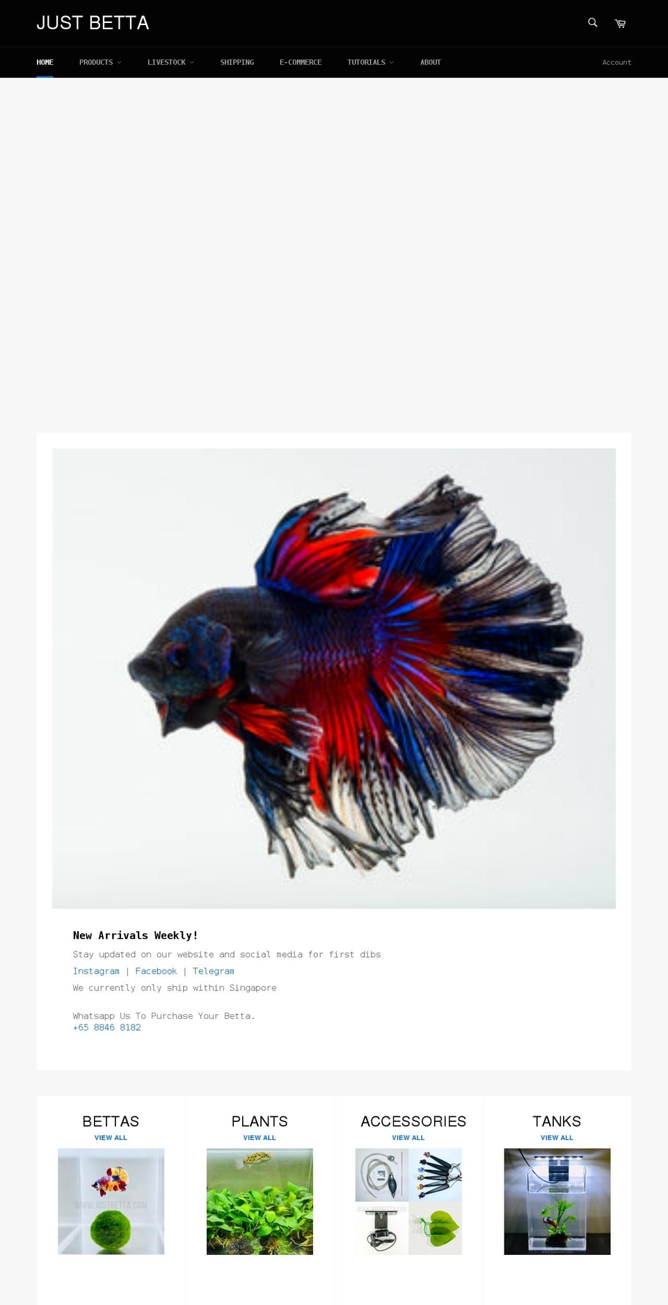 justbetta.com shopify website screenshot