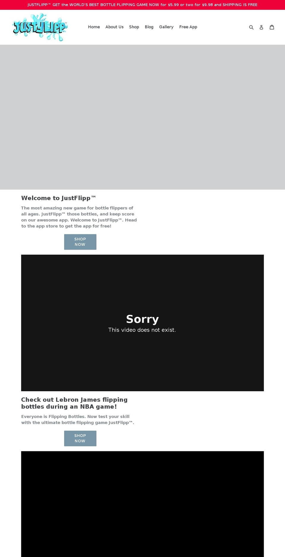 justflipp.com — Shopify storefront screenshot