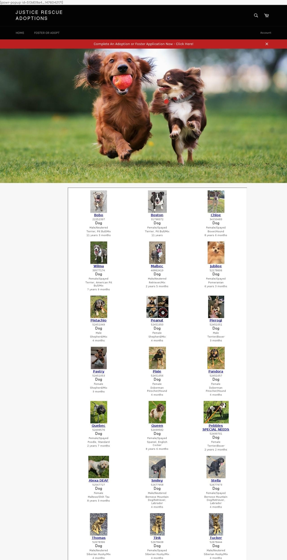 justicerescueadoptions.com shopify website screenshot