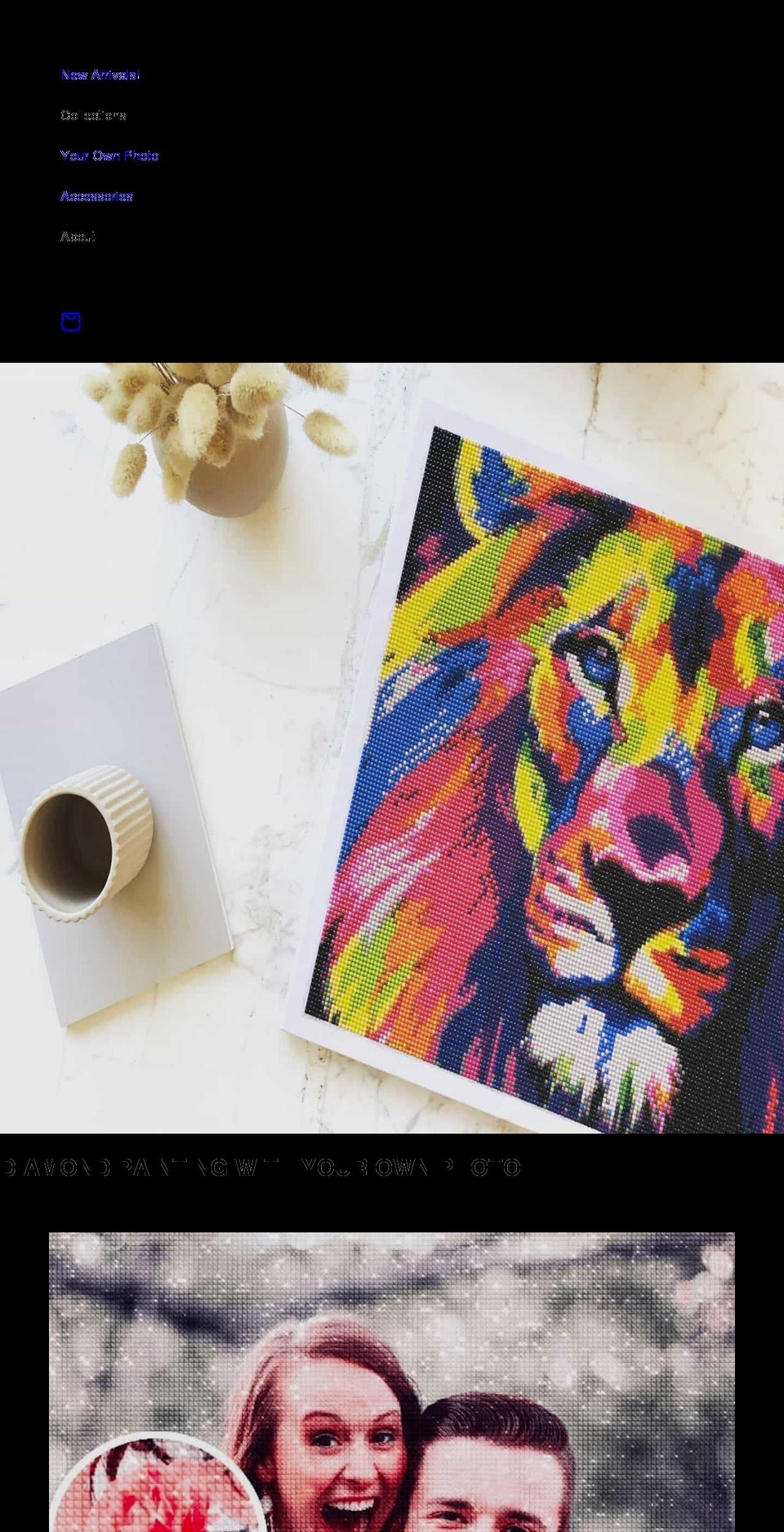 justpaintwithdiamonds.com shopify website screenshot