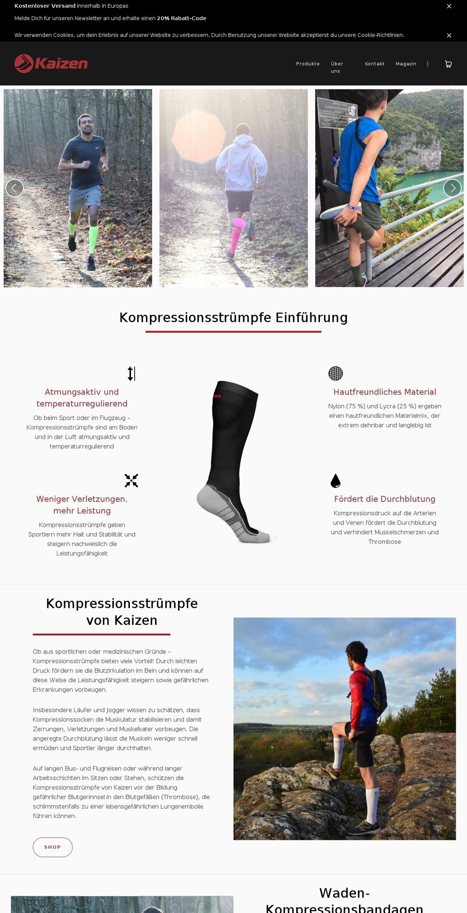 kaizen-sports.de shopify website screenshot