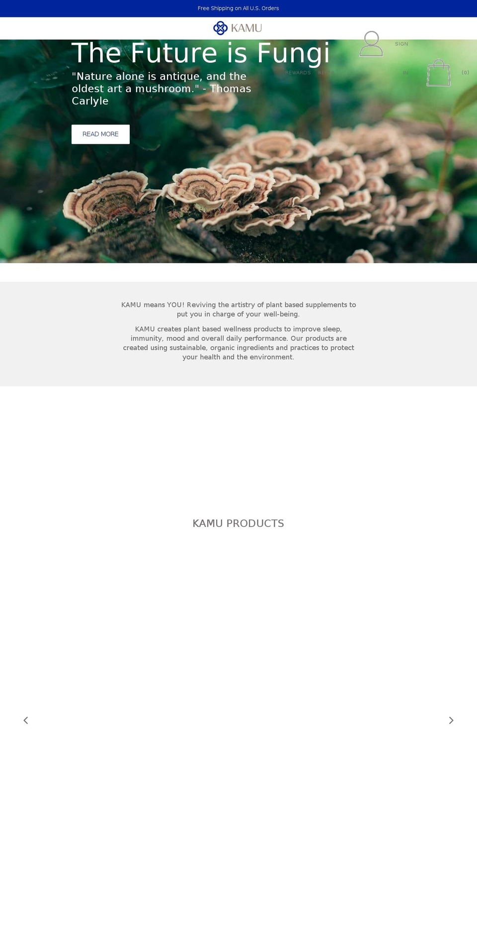 - Shopify theme site example kamulabs.com