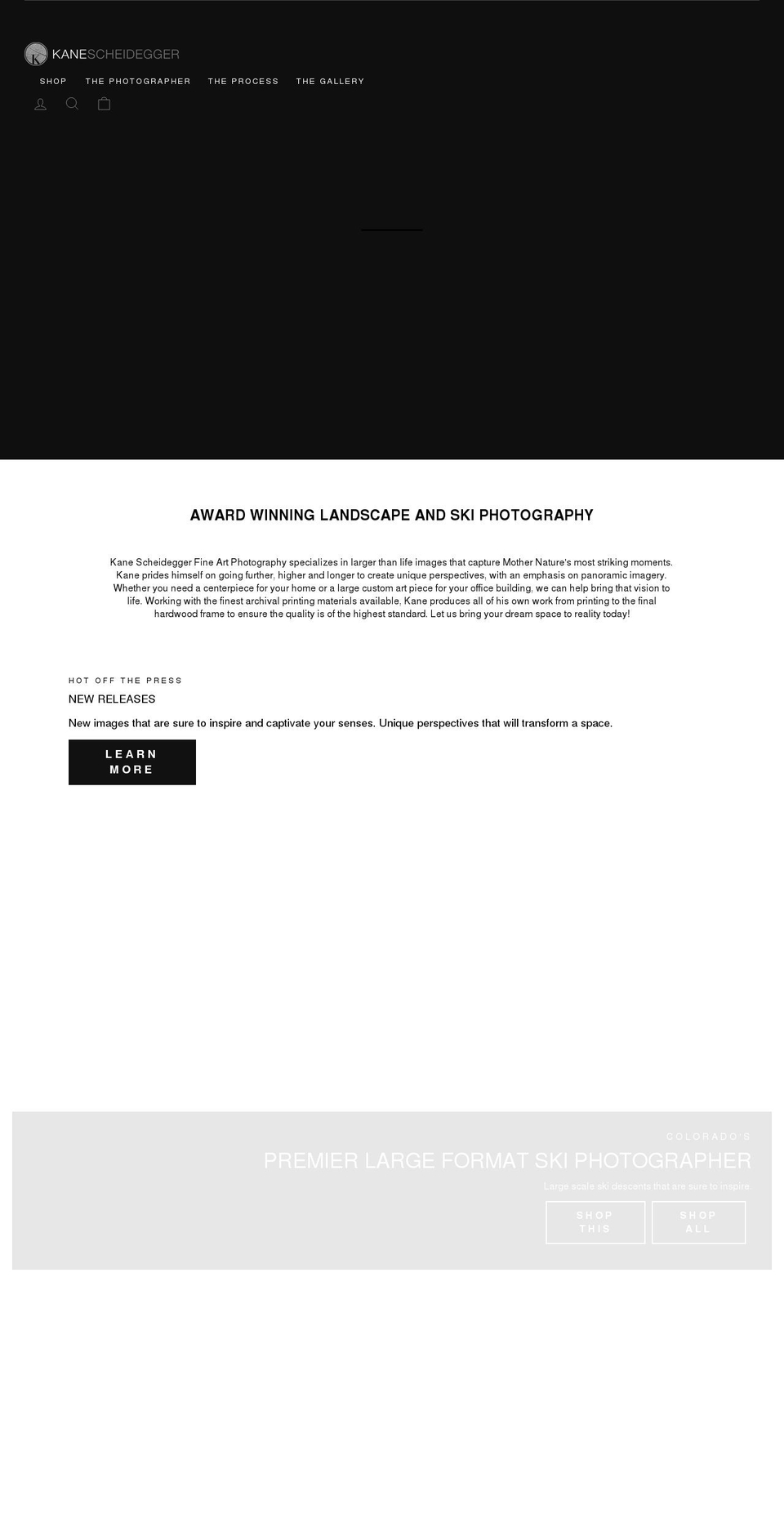 kanegallery.com shopify website screenshot