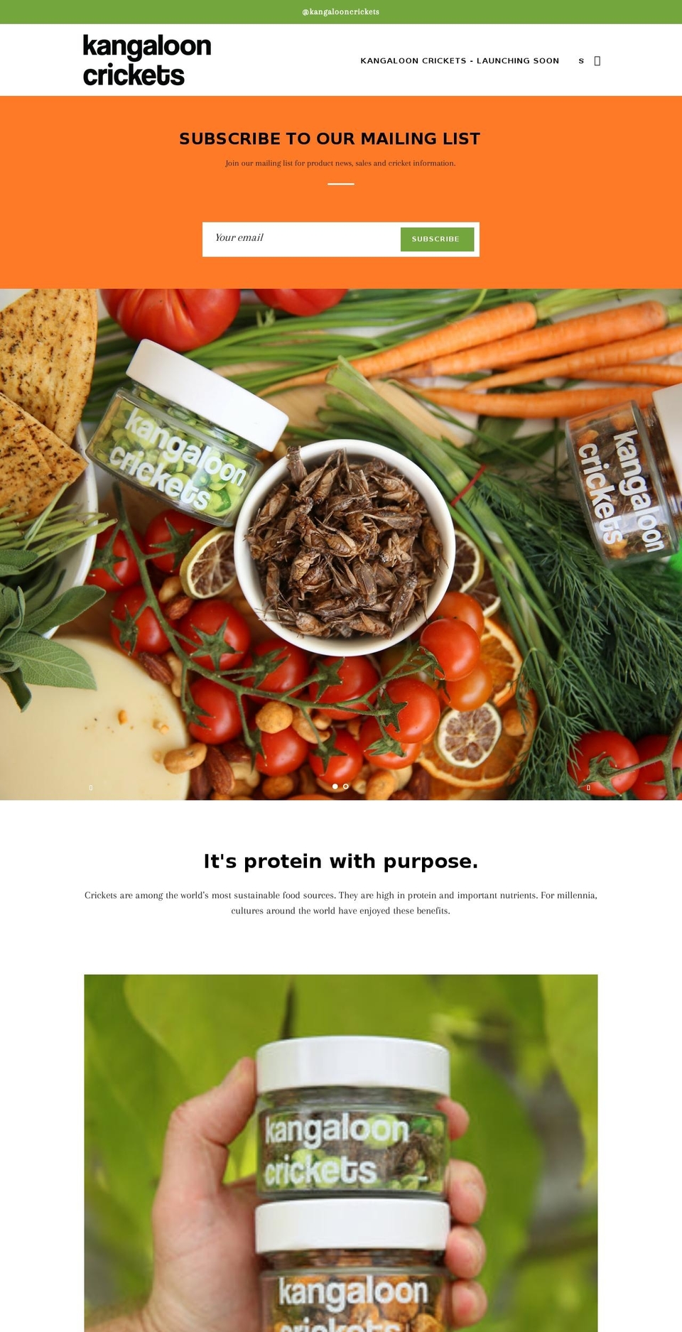 kangalooncrickets.com shopify website screenshot