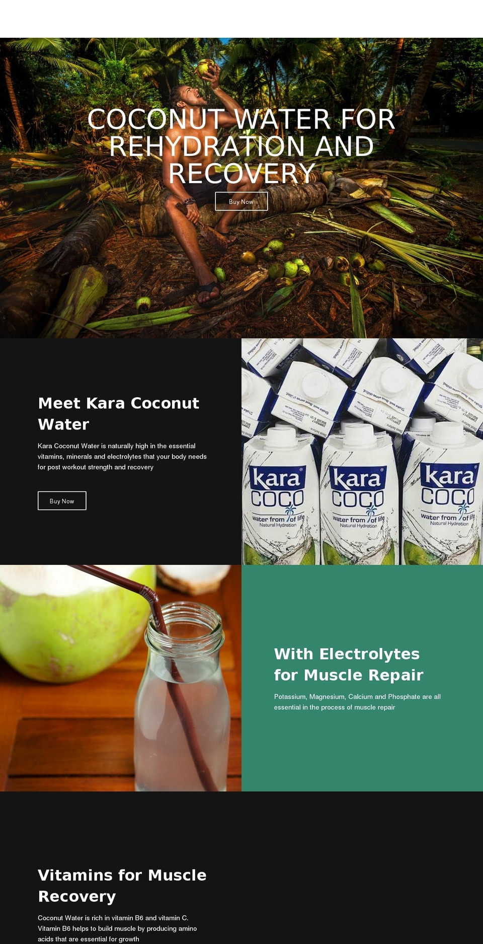 karacoconut.com — Shopify storefront screenshot