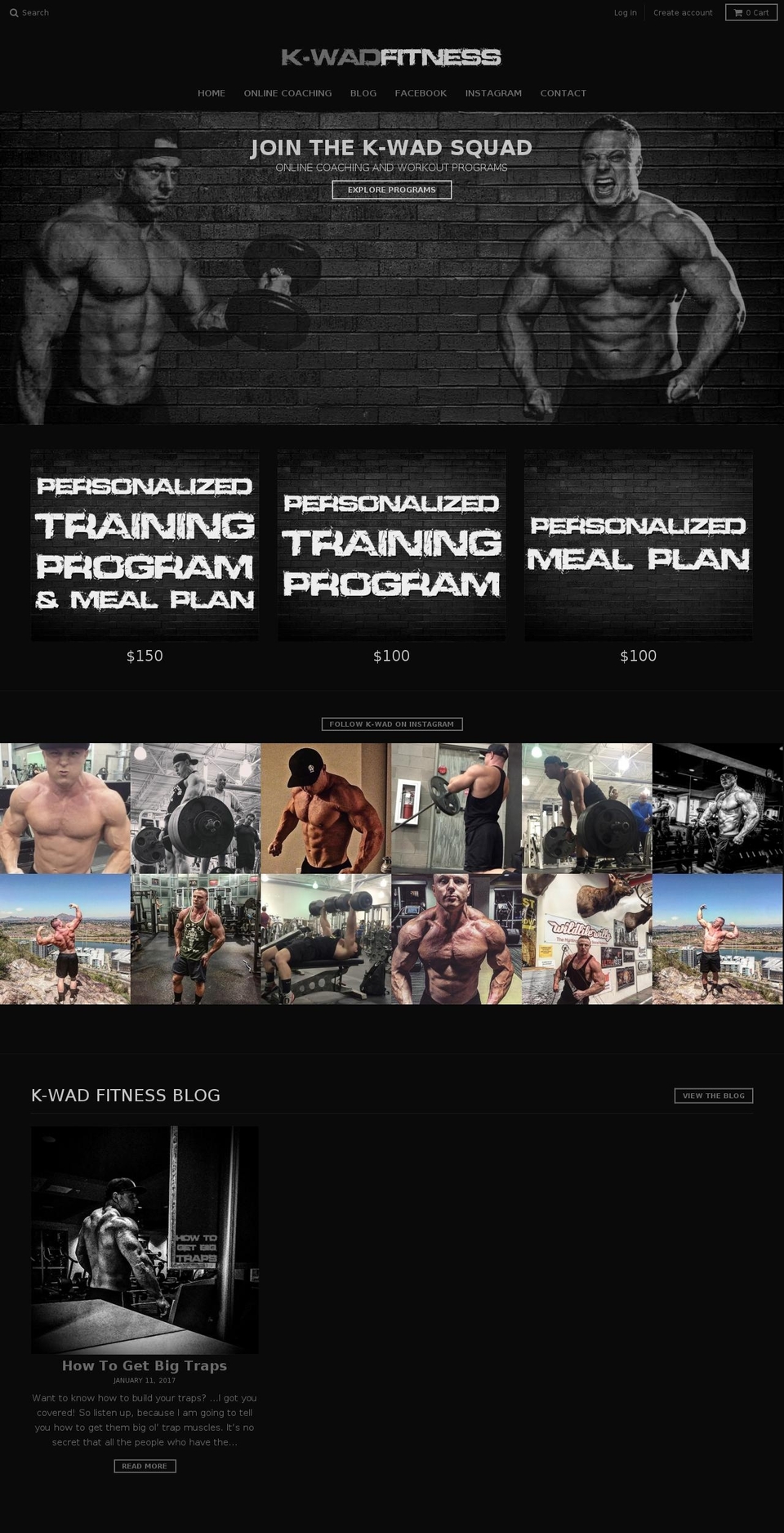 kevinwadiak.com shopify website screenshot