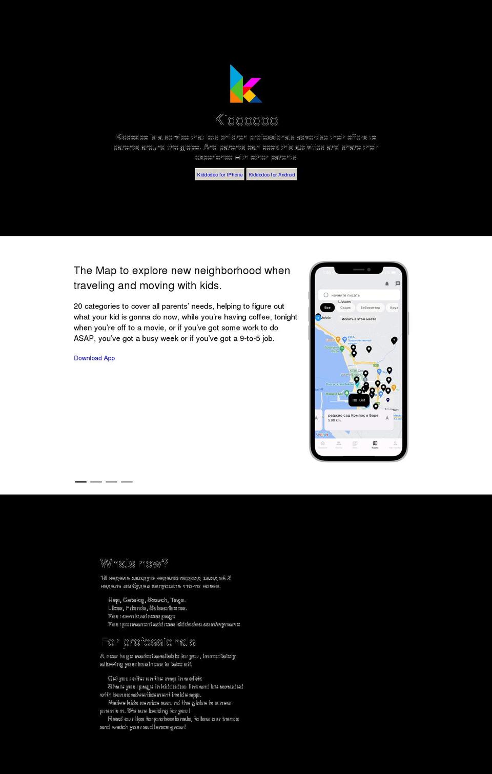 kiddodoo.com — Shopify storefront screenshot