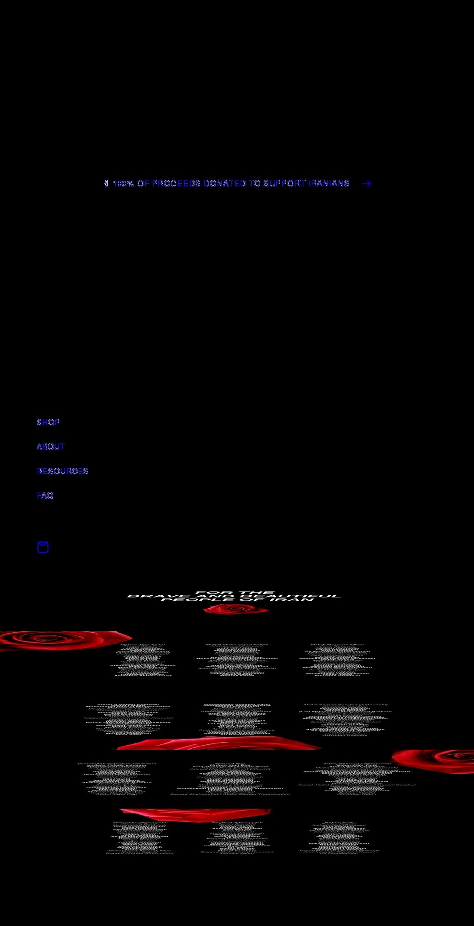 kidsoftherevolution.com shopify website screenshot