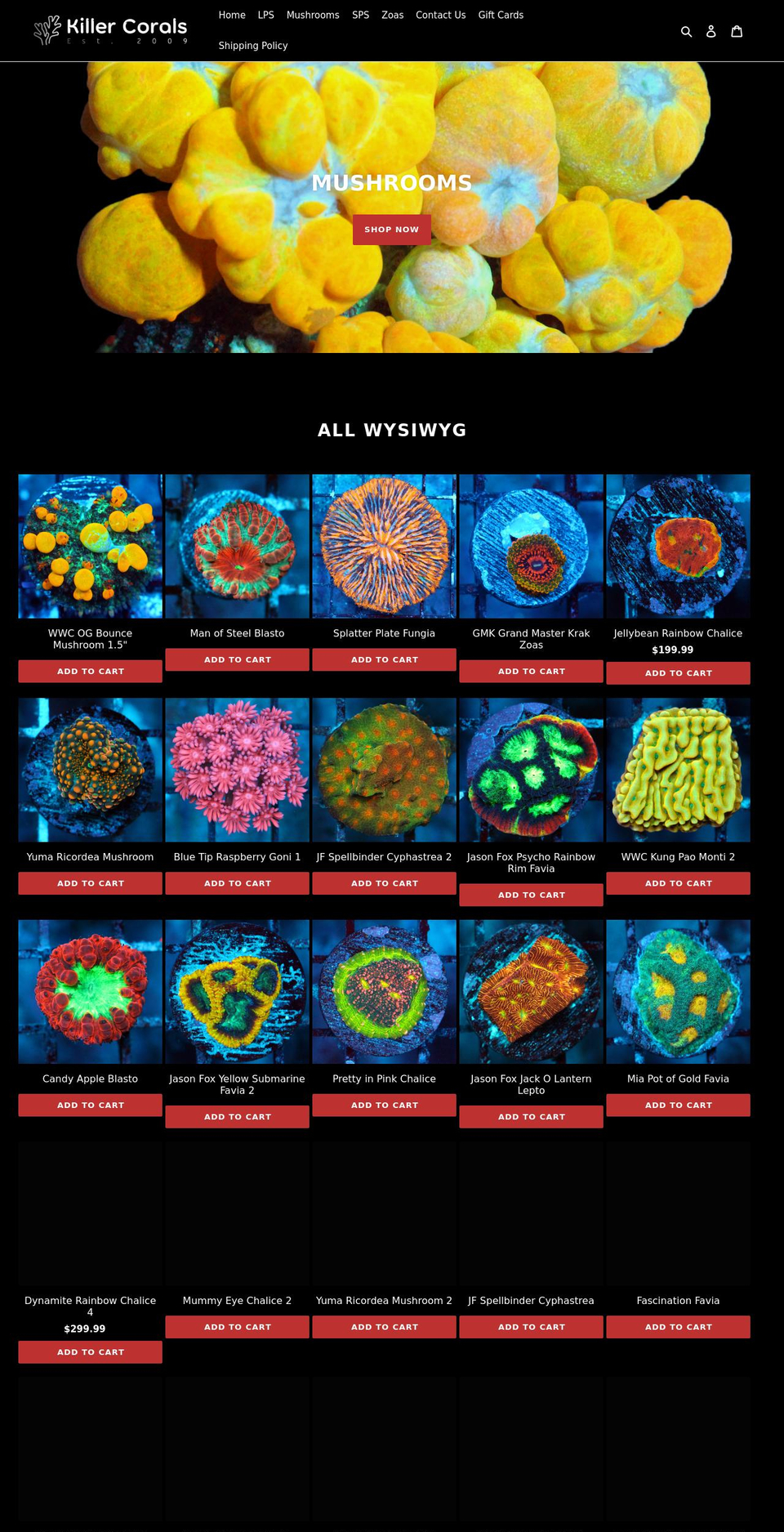 killercorals.com shopify website screenshot