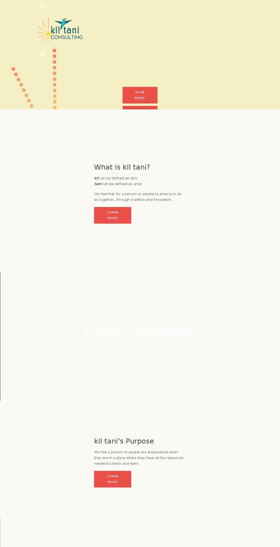 kiltaniconsulting.com — Shopify storefront screenshot