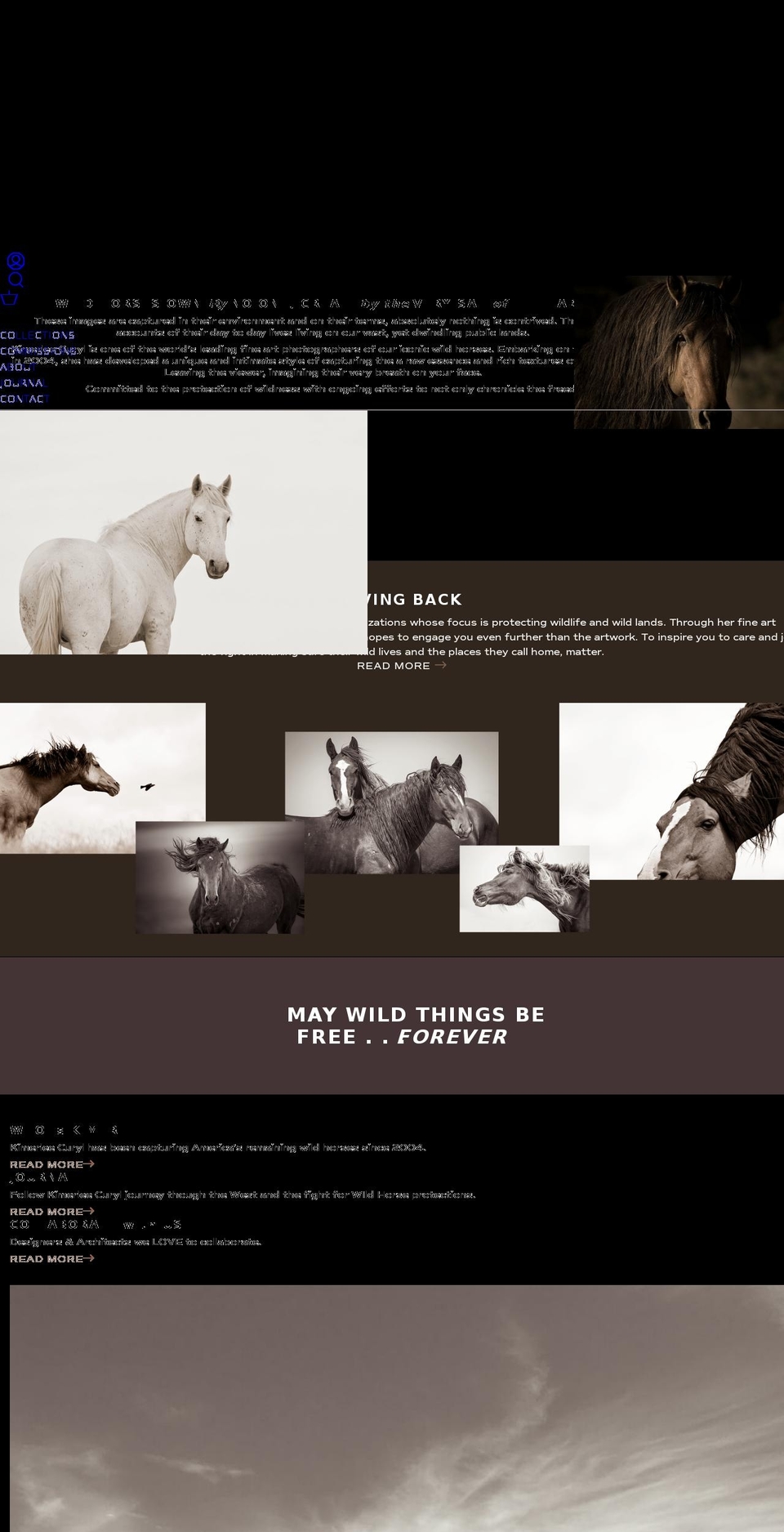 kimerleecurylwildhorseprints.com shopify website screenshot