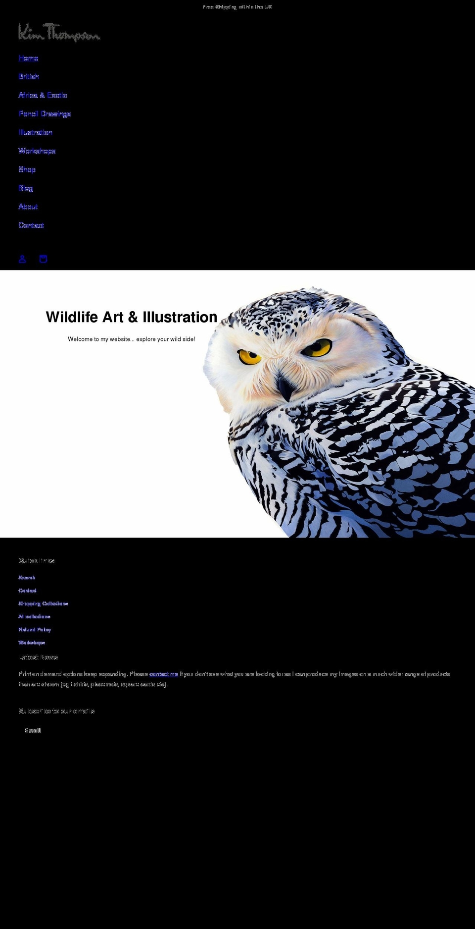 kimthompsonartist.com shopify website screenshot