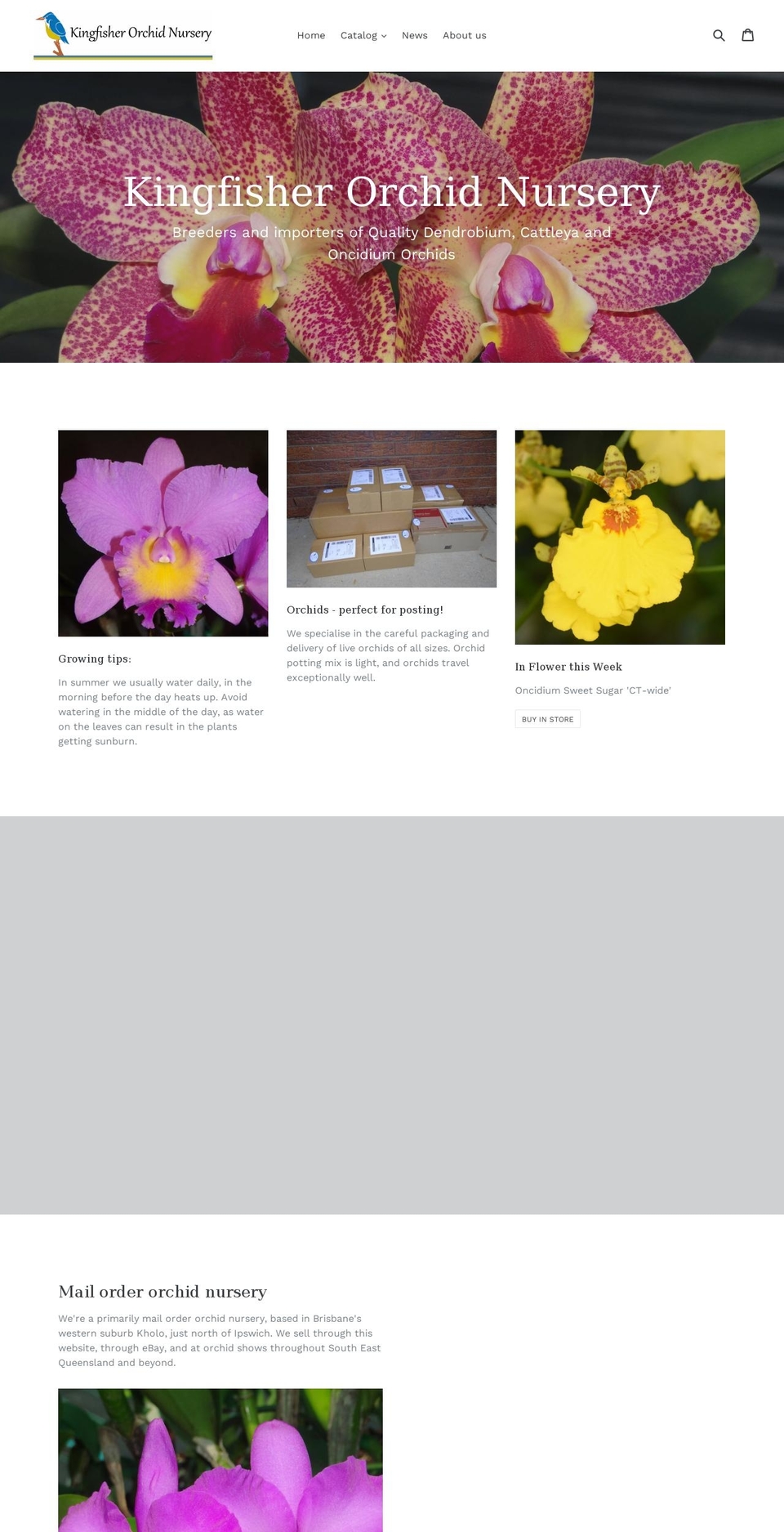 kingfisherorchidnursery.com.au shopify website screenshot