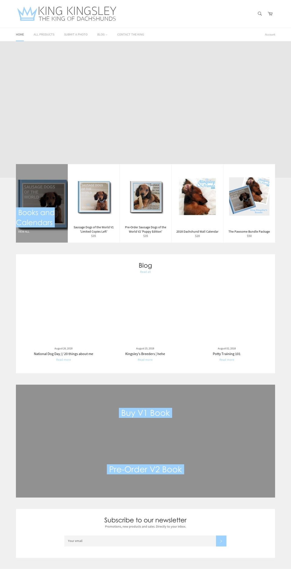 kingkingsley.net shopify website screenshot