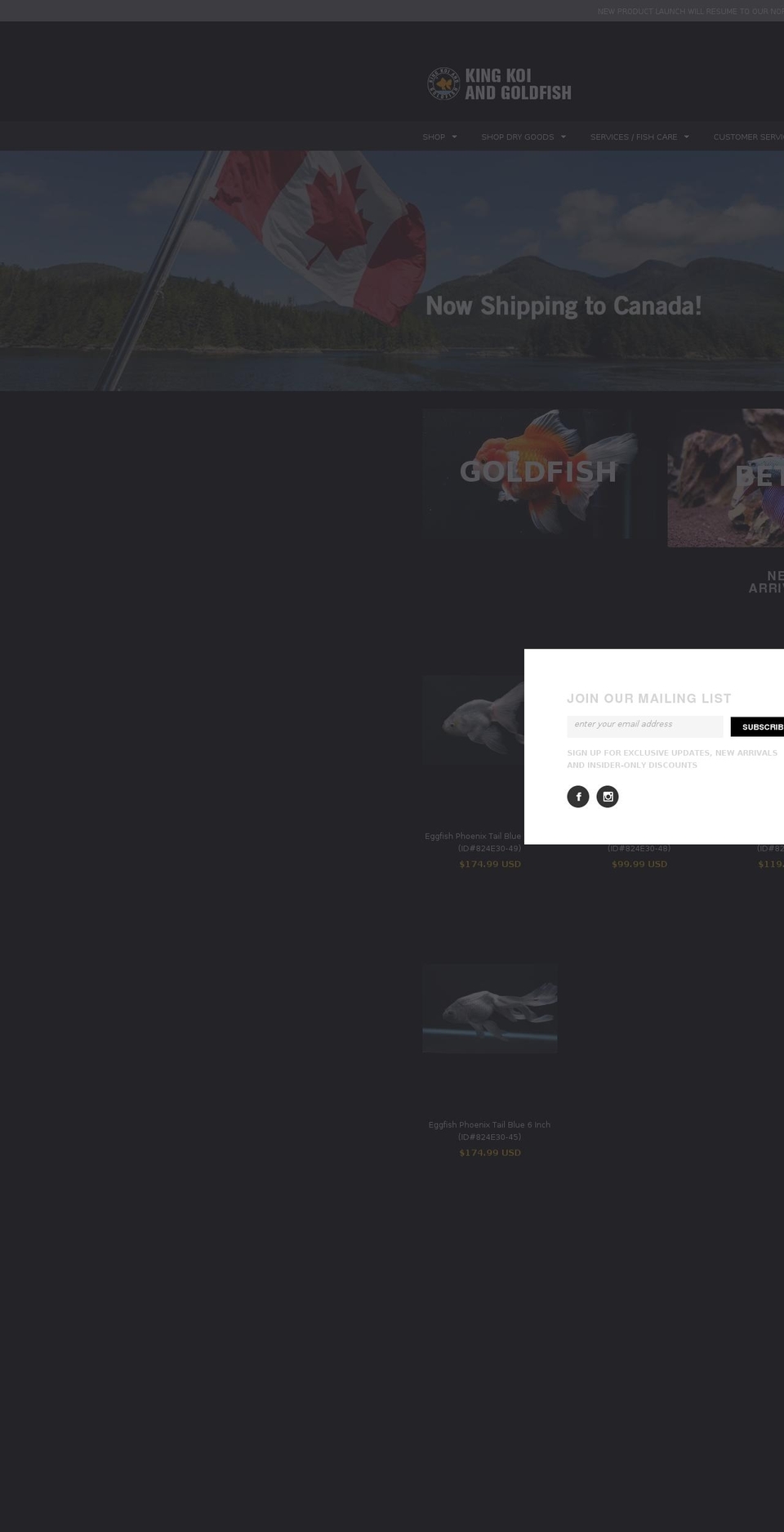 kingkoigoldfish.com shopify website screenshot