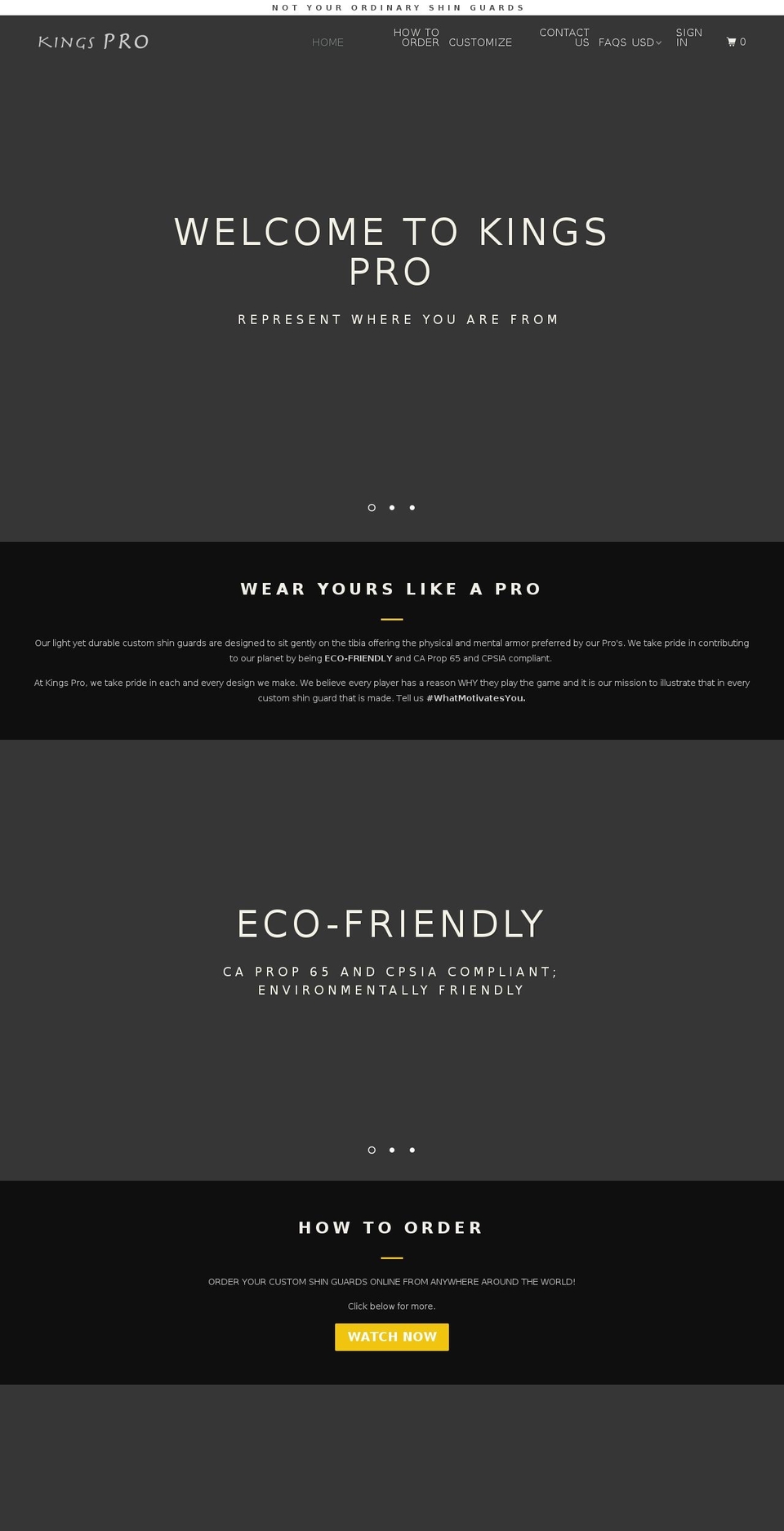 kingsprotection.com — Shopify storefront screenshot
