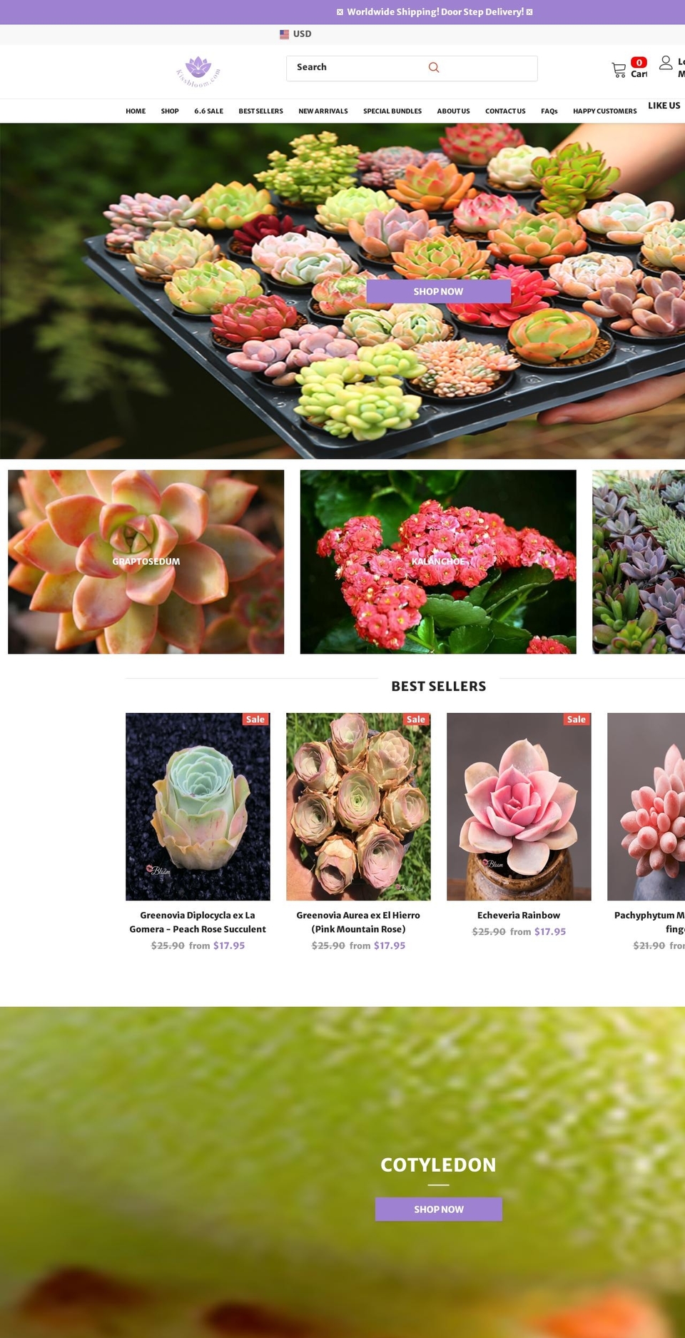 kissbloom.com shopify website screenshot