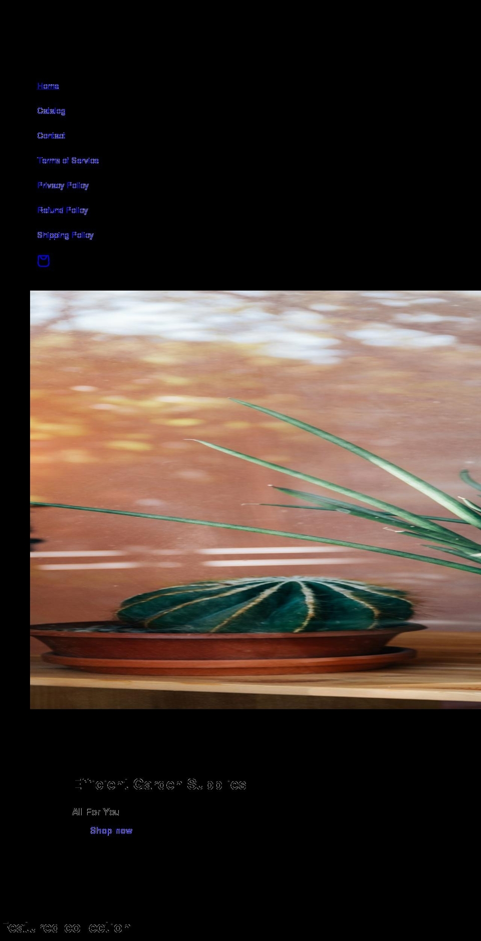 kitchenhealthy.com shopify website screenshot