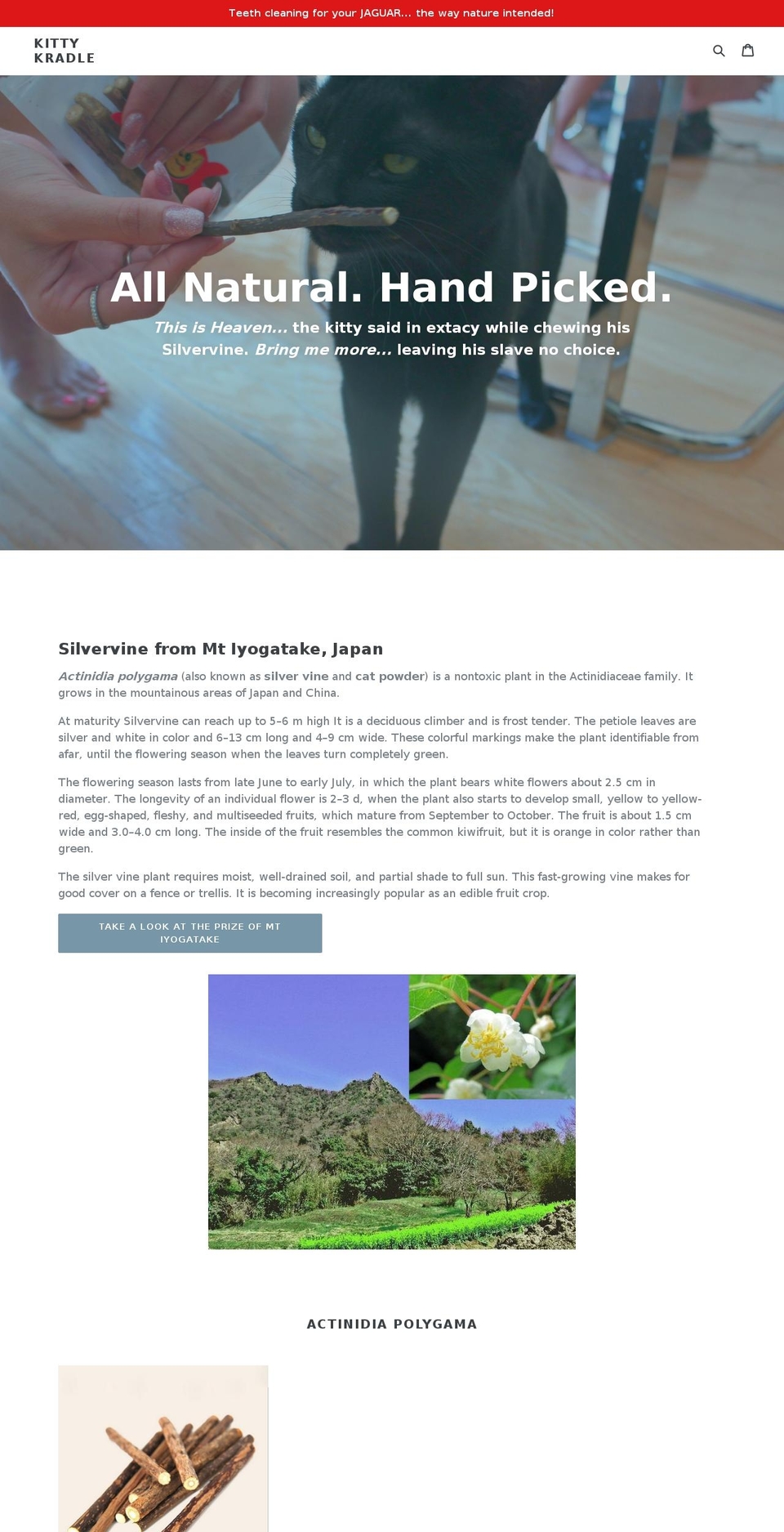 kittykradle.com — Shopify storefront screenshot