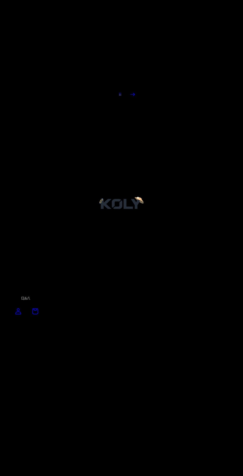 kolygroup.com — Shopify storefront screenshot