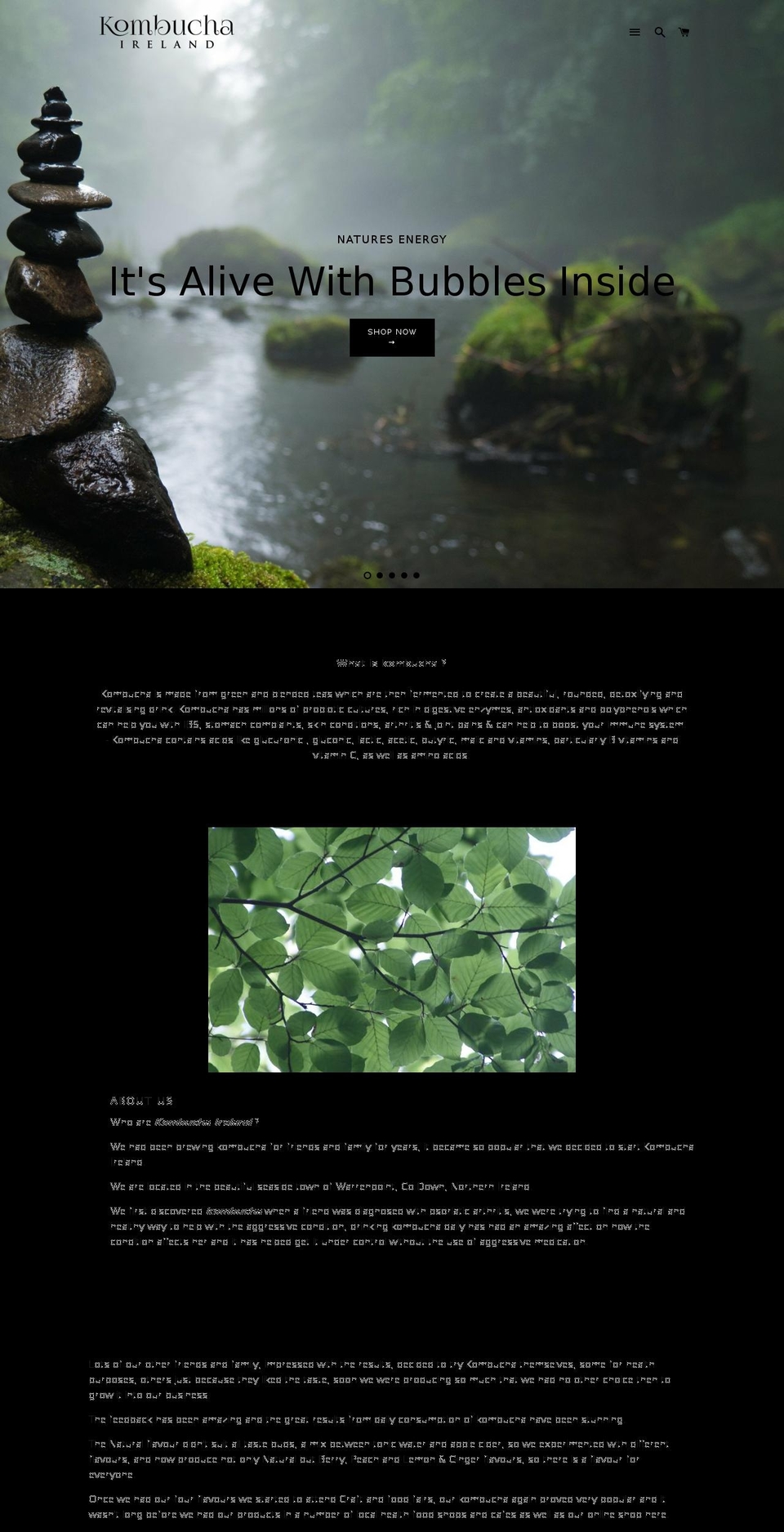 2017 Rebrand Site option 1 Shopify theme site example kombuchaireland.com