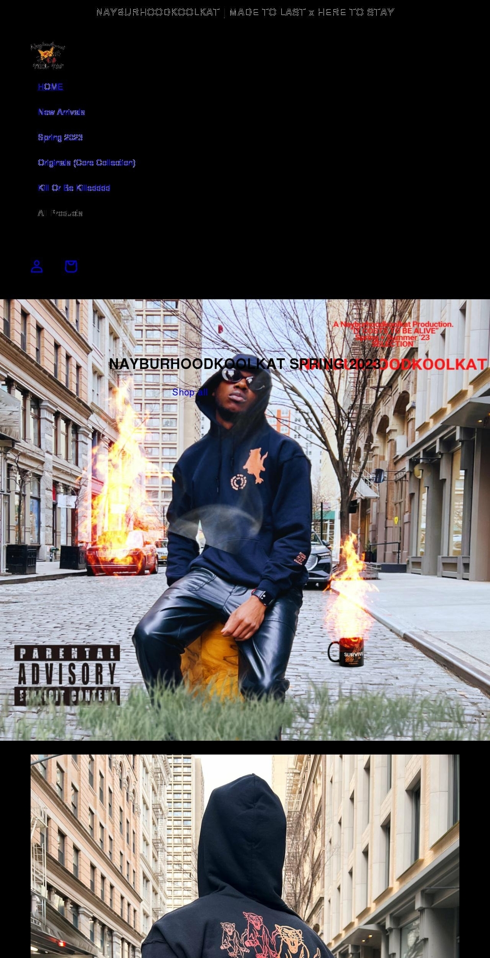 koolkatnyc.com — Shopify storefront screenshot