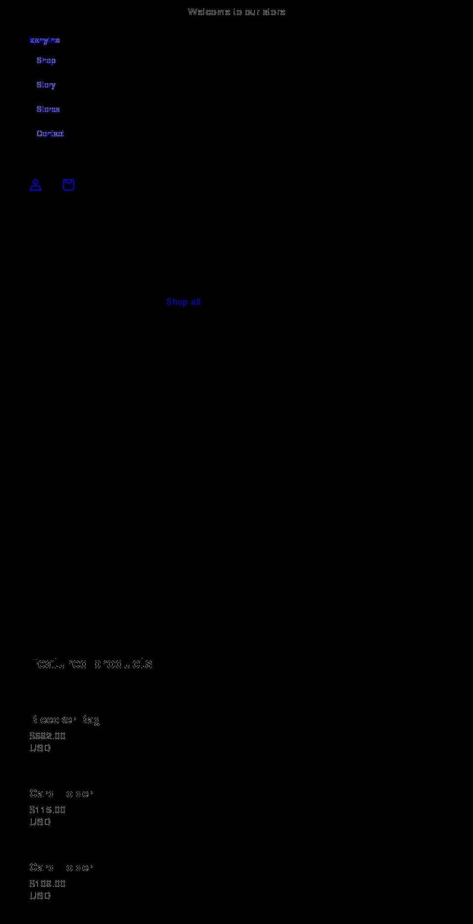 kpnyinc.com shopify website screenshot
