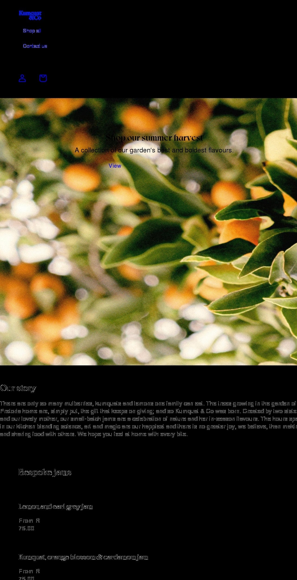 kumquat.co.za shopify website screenshot