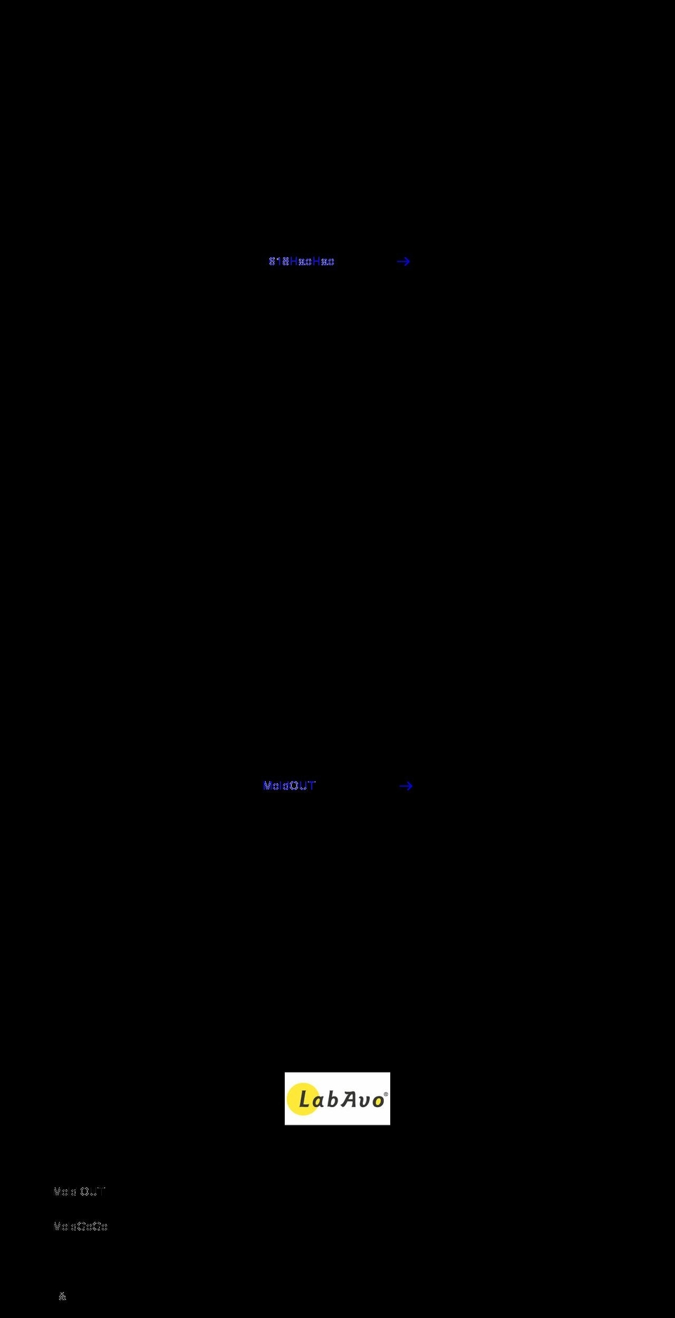 labavo.com.tw — Shopify storefront screenshot