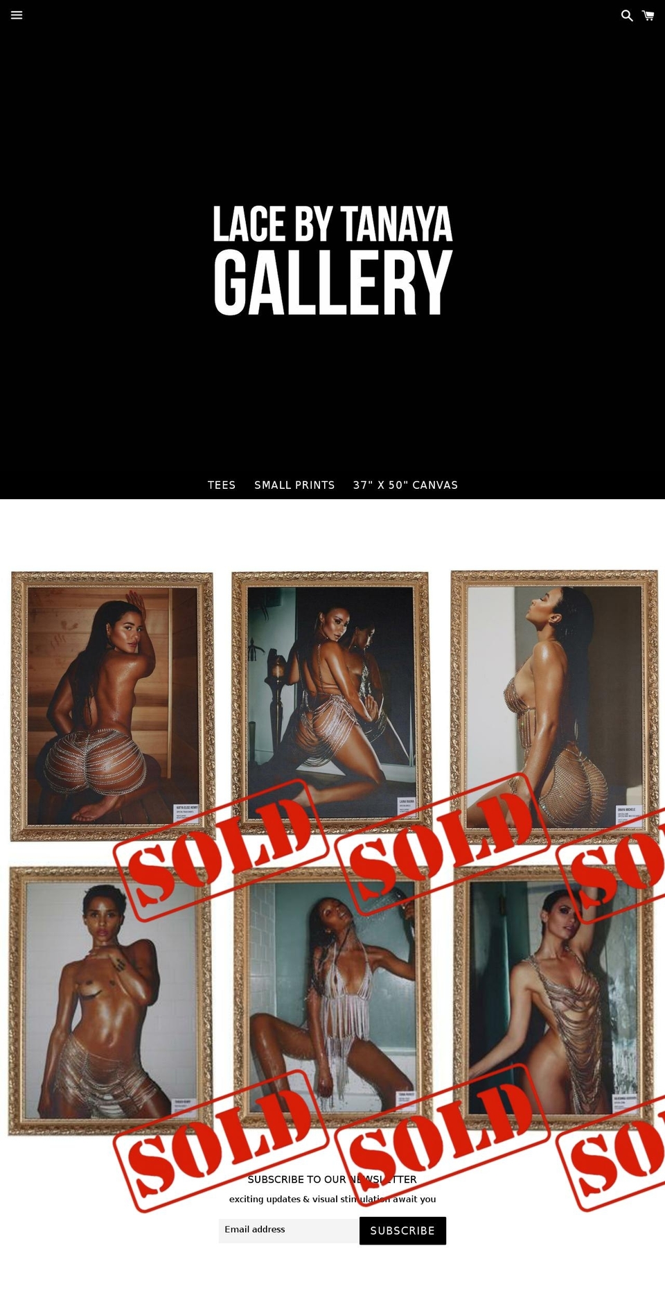 lacebytanayagallery.com shopify website screenshot