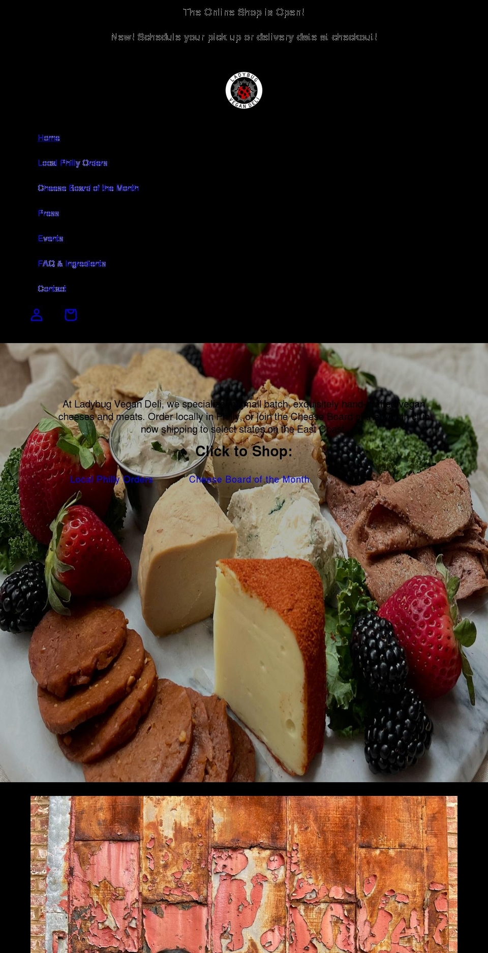 ladybugphiladelphia.com shopify website screenshot