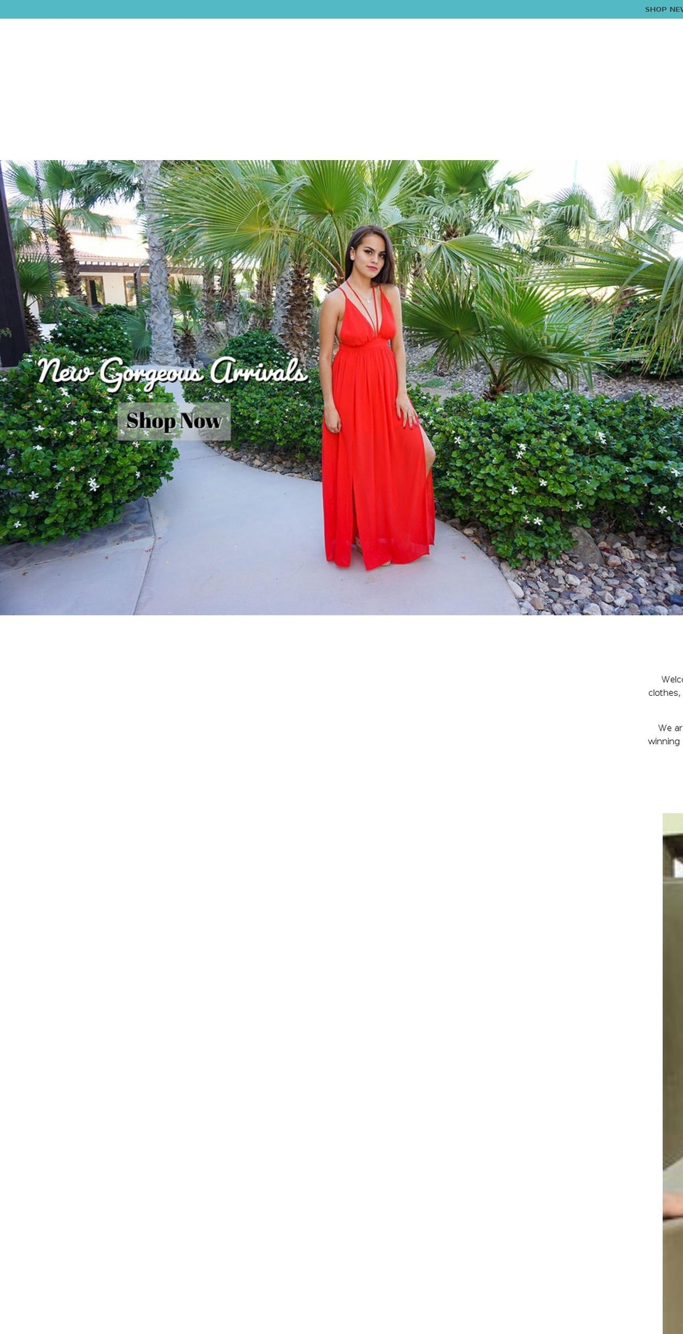 ladyzfashions.com — Shopify storefront screenshot