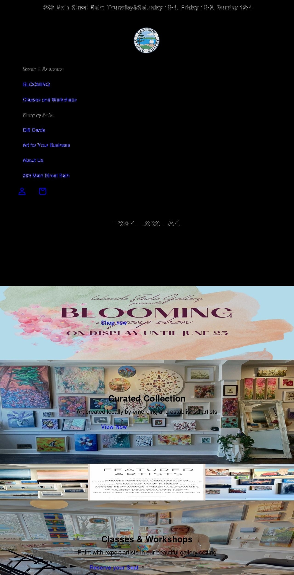 lakesidestudiogallery.com shopify website screenshot