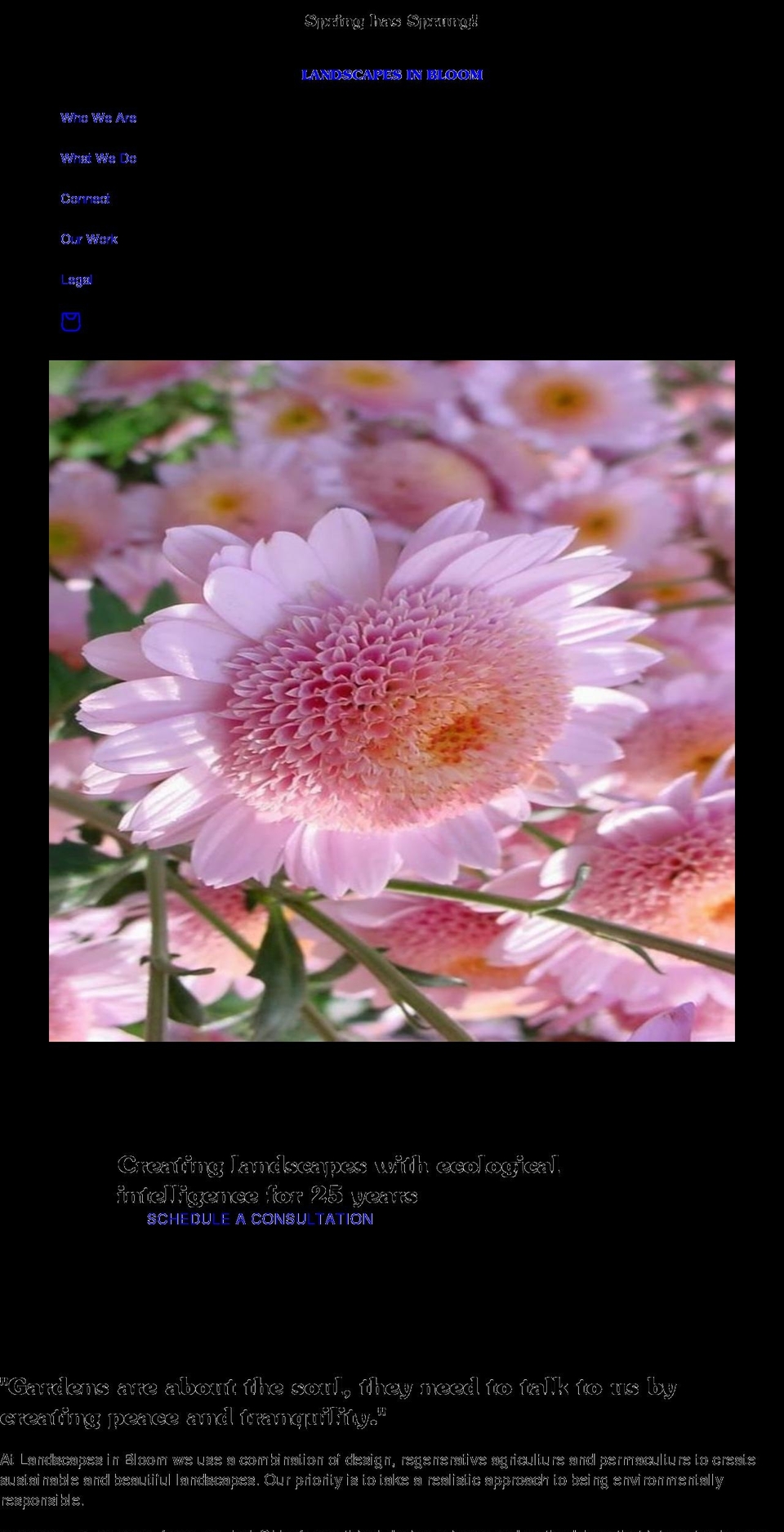 landscapesinbloom.com shopify website screenshot