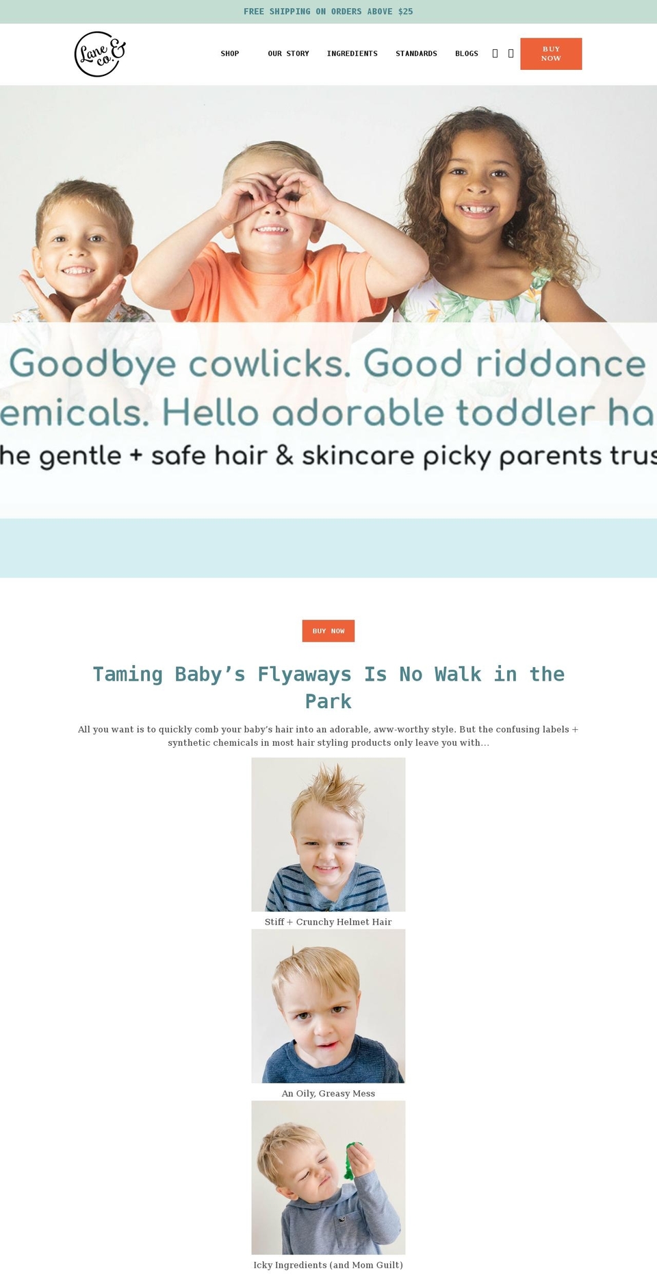 laneandcoshop.com shopify website screenshot