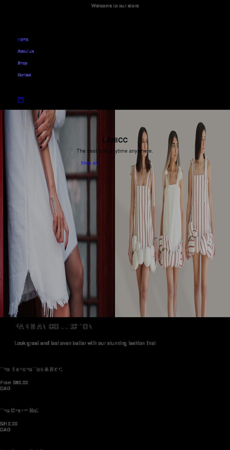 lanicc.com shopify website screenshot