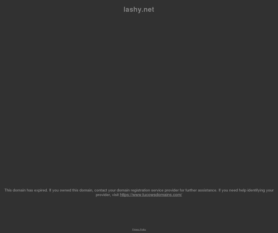 lashy.net shopify website screenshot