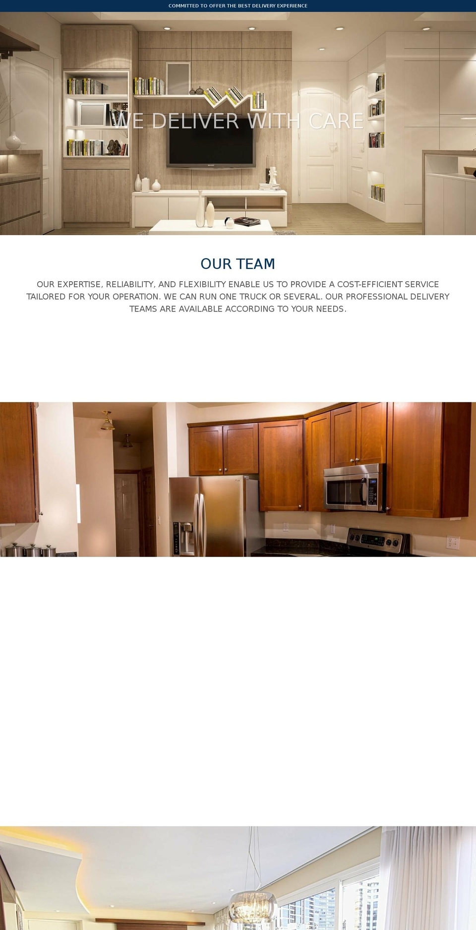 lastmiledeliverygroup.com shopify website screenshot