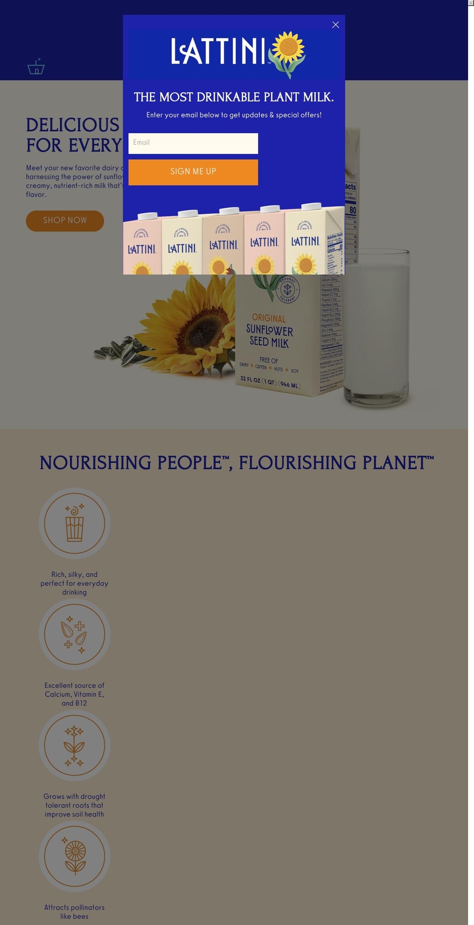 lattini.com shopify website screenshot