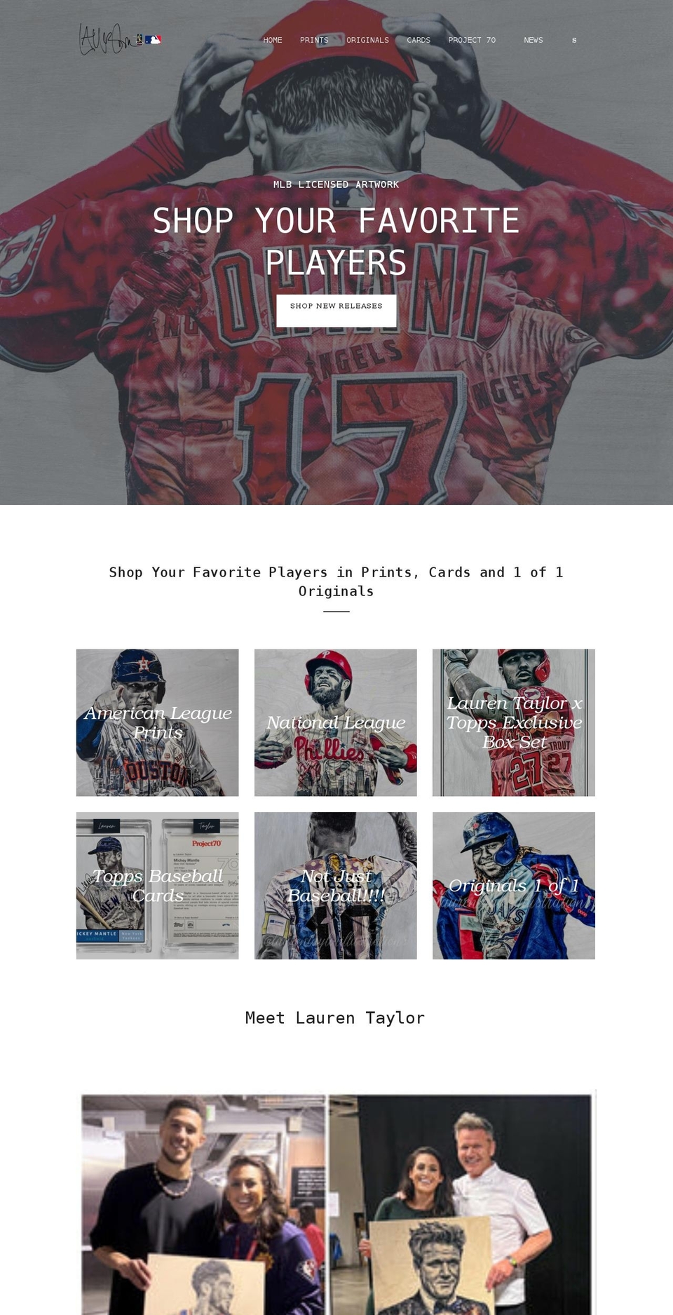 laurentaylorillustrations.com shopify website screenshot