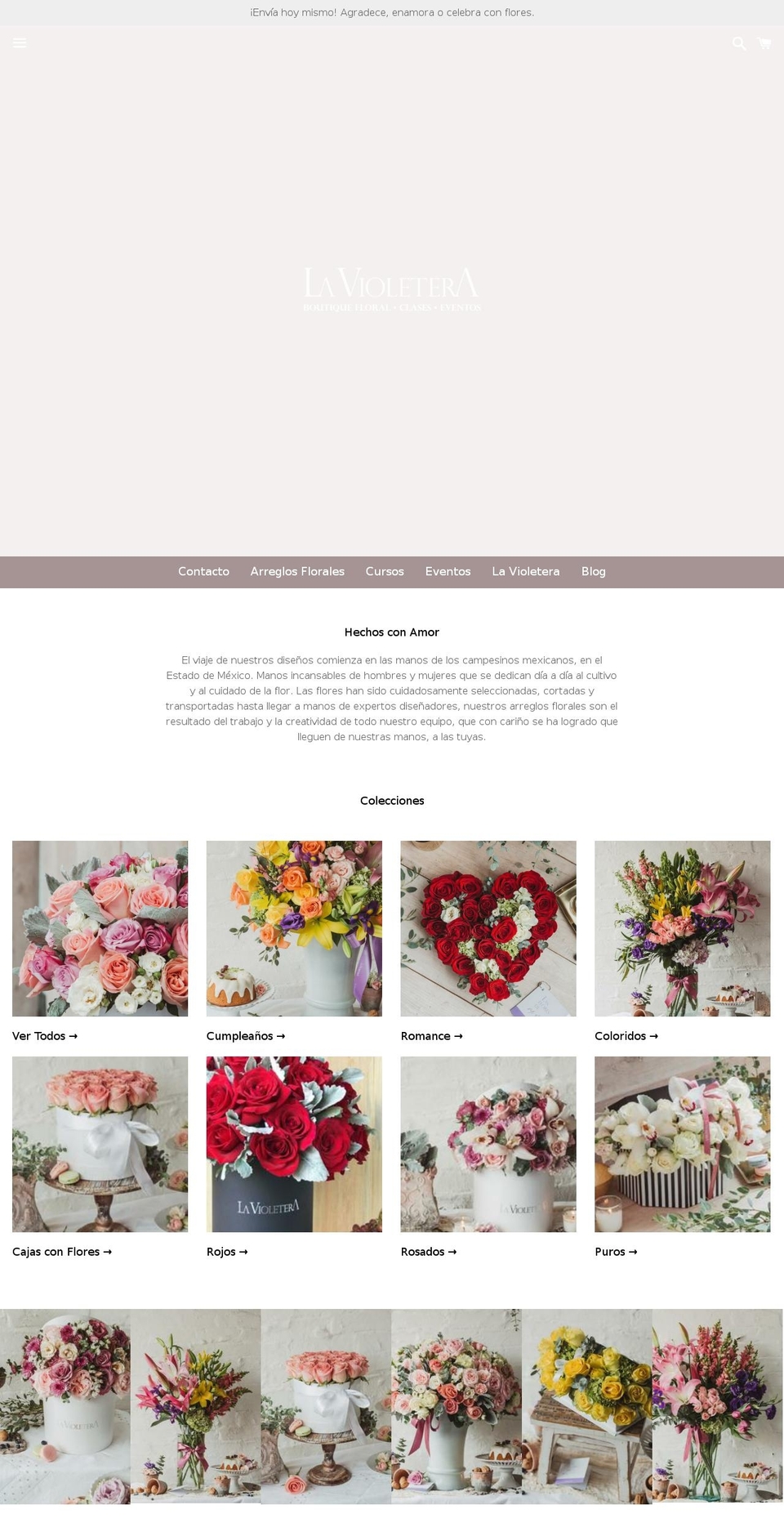 lavioletera.com.mx shopify website screenshot