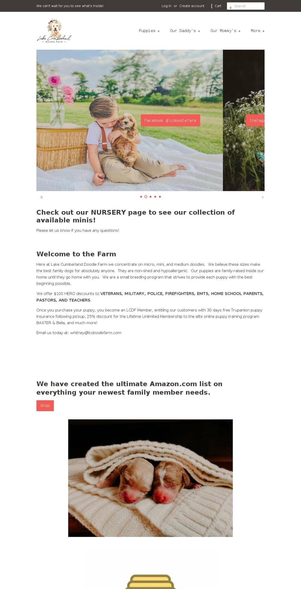lcdoodlefarm.com shopify website screenshot