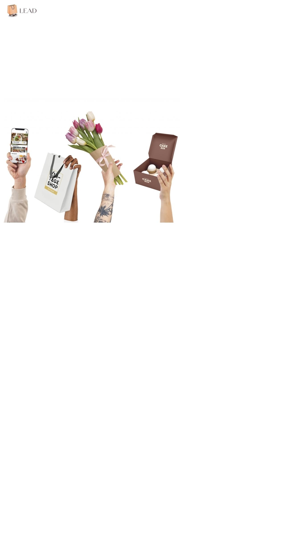 lead-france.com — Shopify storefront screenshot