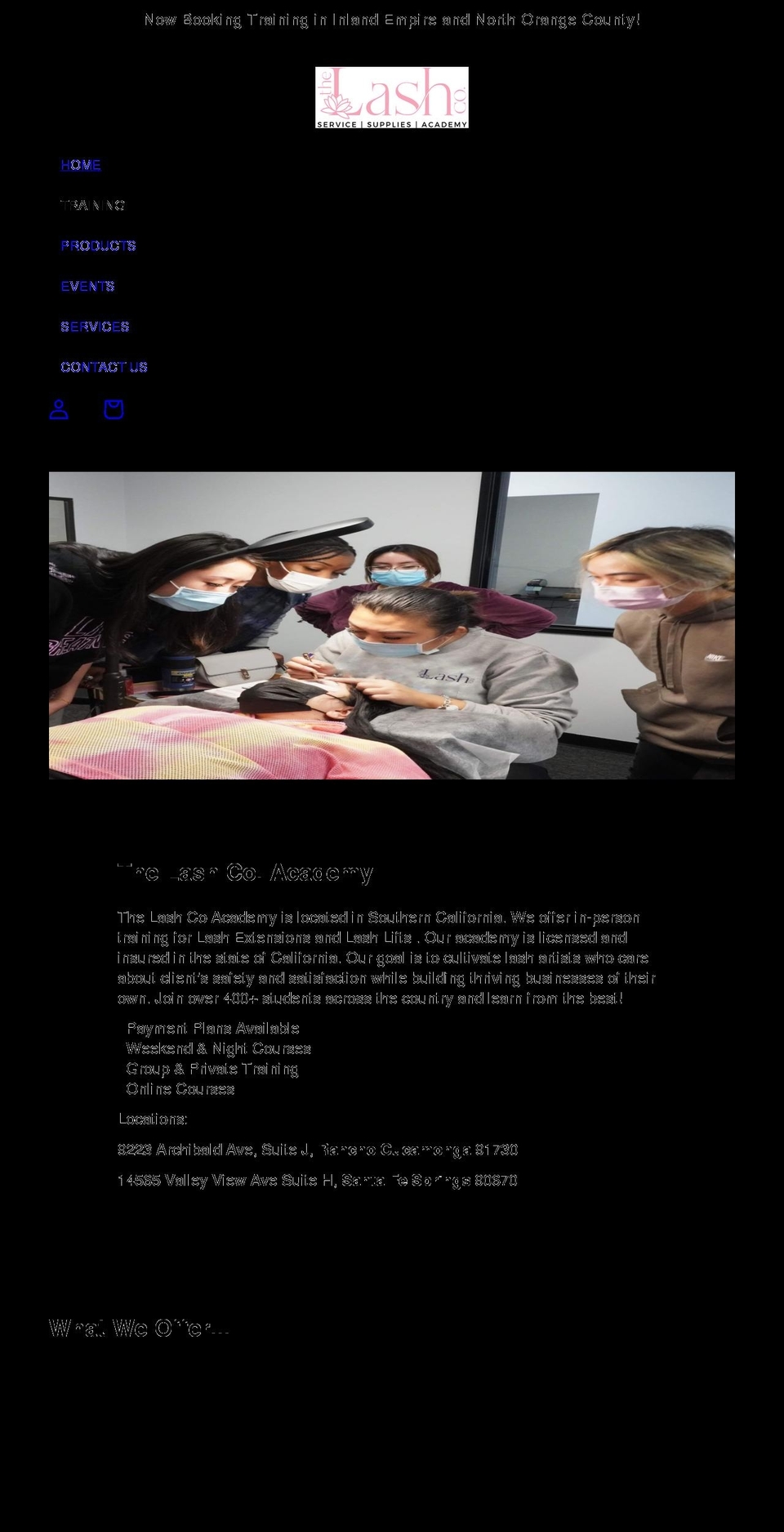 learnlashco.com shopify website screenshot