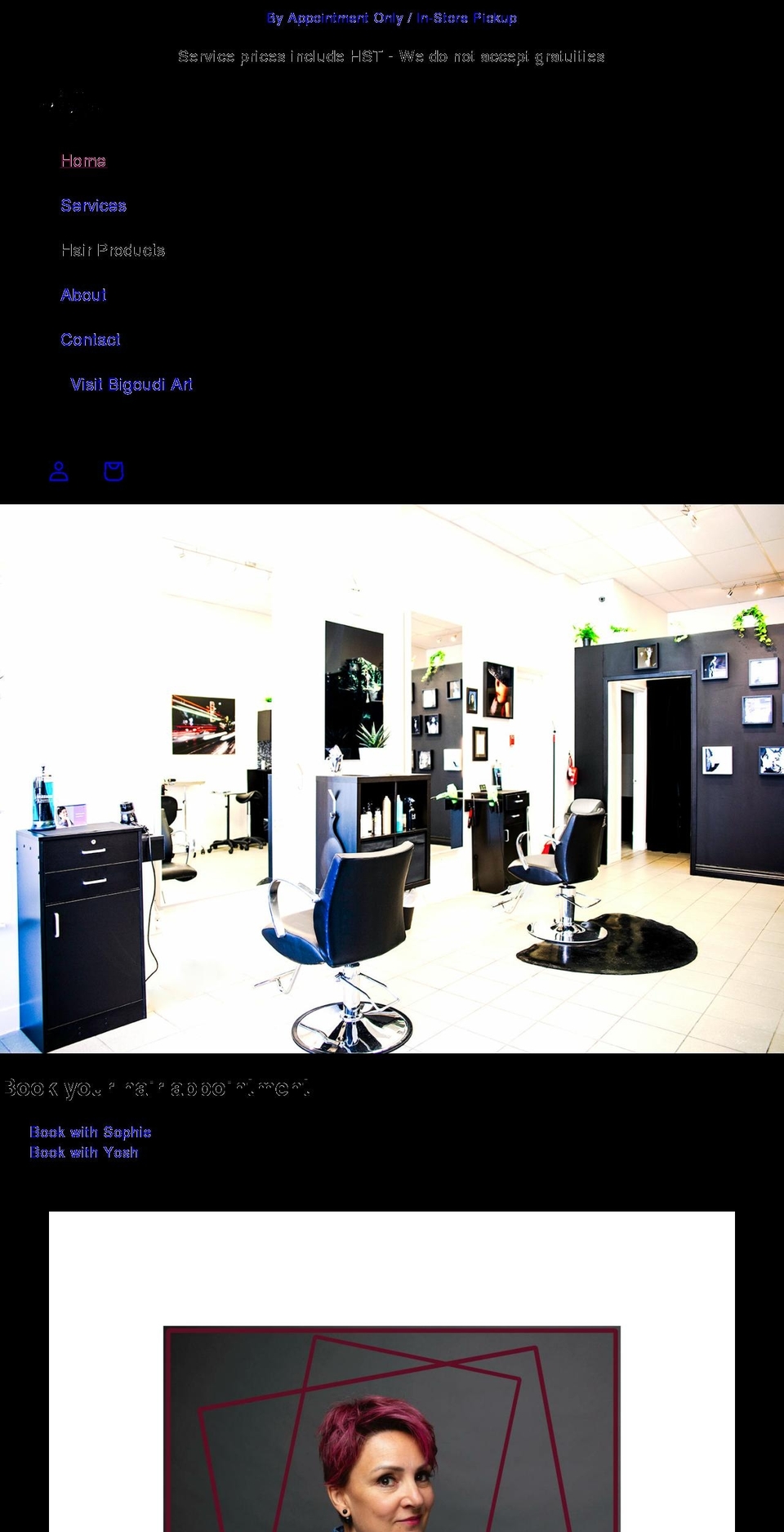 lebigoudi.ca shopify website screenshot