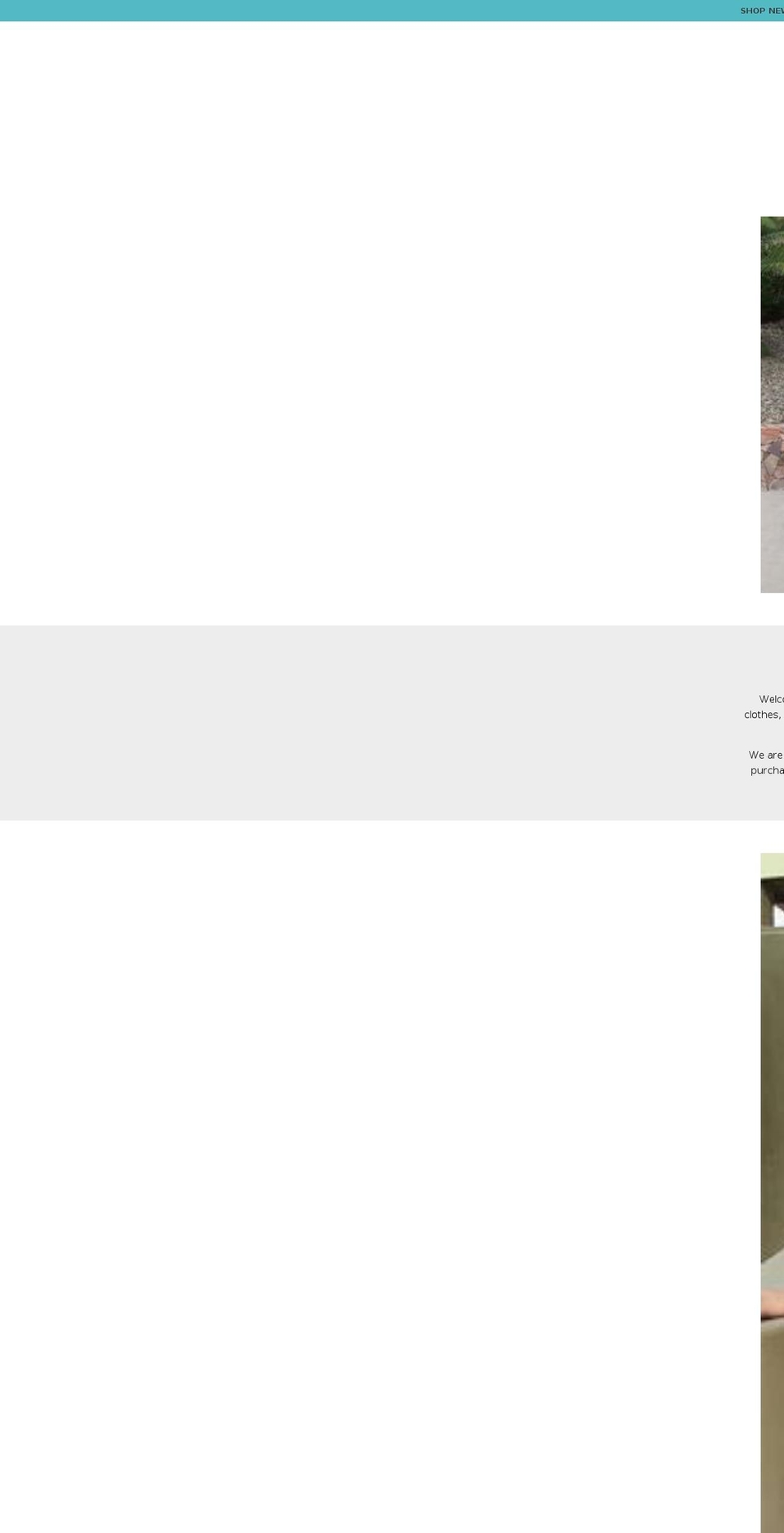ledyzfashions.com shopify website screenshot