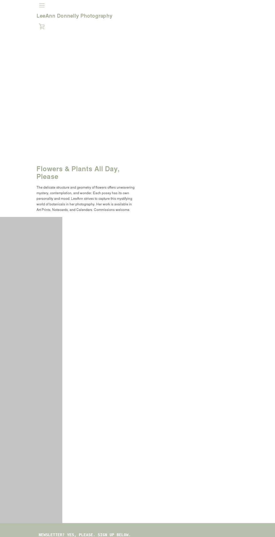 leeannphotography.com shopify website screenshot